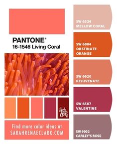 pantone's living coral color scheme is shown in shades of red, orange and pink