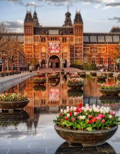 there are many potted flowers in front of the building that is reflected in the water