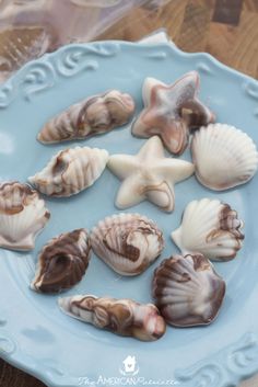 seashells are arranged on a blue plate