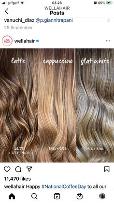 Part Line Foils, Color Touch Formula, Wella Illumina Formulas, Wella Koleston Perfect Formulas, Shinefinity Formulas, Wella Color Touch Formulas, Wella Illumina Color, Hair Color Wheel, Hair Color Swatches