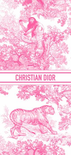 the cover of christian dior's book, with pink ink on white paper