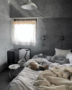 a dog laying on top of a bed under a window