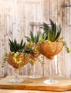 two vases filled with plants on top of a wooden table