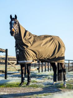 a horse wearing a blanket standing next to a fence