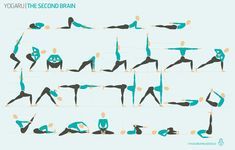 the yoga poses and their variations are shown in this poster, which shows how to do them