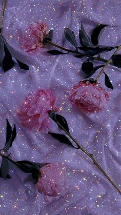 some pink flowers and black leaves on a purple cloth with glitters in the background