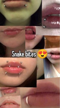 I NEED THEM SO BADLY Trad Makeup, Snake Eyes Tongue Piercing, Snake Bites Piercing, Snake Bite Piercing, Skunk Hair, Hello Kitty Wallpaper Hd, Snake Bite