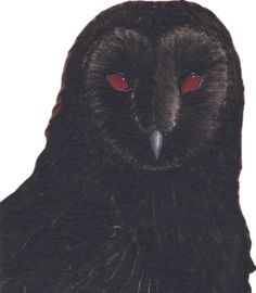 an owl with red eyes sitting down