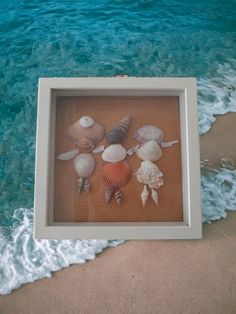 seashells are arranged in a shadow box on the sand by the ocean's edge