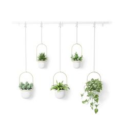 four hanging planters with plants in them