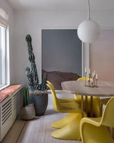 a dining room table with yellow chairs next to a cactus plant in a gray vase