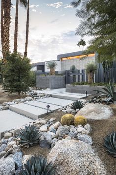 an outdoor area with rocks and plants in the foreground, surrounded by palm trees