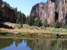 the mountains are reflected in the water near the grass and trees on the side of the river