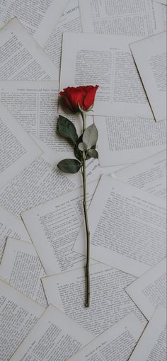 a single red rose sitting on top of an old book page wall covered in pages