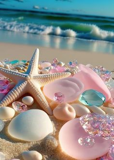 starfish, seashells and other sea shells on the beach