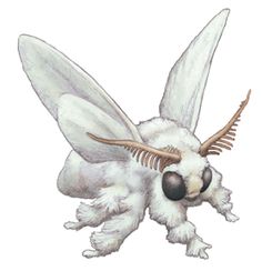 a drawing of a white insect with long antennae