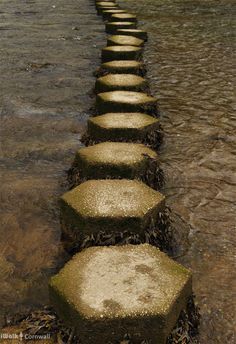 stepping stones in the water leading to an umbrella on top of one another, with grass growing between them