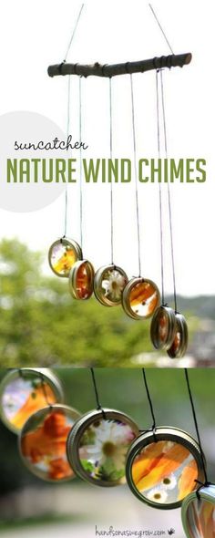 a wind chime hanging from a tree branch with the words sun catcher nature wind chimes