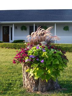 a tree stump with flowers in front of a house