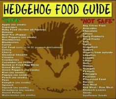 the hedgehog food guide is not safe