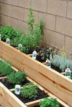 several wooden planters filled with different types of plants