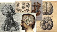 the human head and neck are depicted in this collage with old book pages, including an image of a man's brain