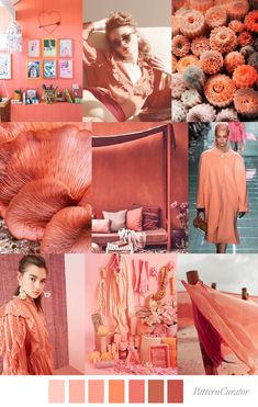 an orange and pink color scheme with different pictures