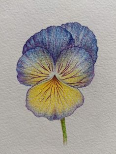 a drawing of a blue flower with yellow stamen