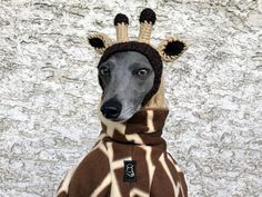 a dog wearing a giraffe costume on top of it's head,