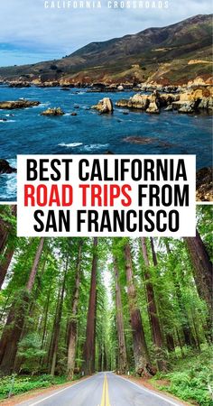 the road is lined with trees, and there are two pictures that say best california road trips from san francisco