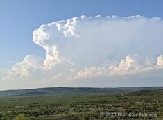 a large cloud is in the sky over an open plain with trees and bushes on either side