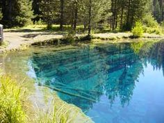 a truck parked next to a lake with blue water and trees in the back ground