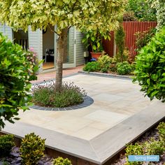 a small tree is in the middle of a garden area with various plants and trees around it