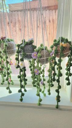 crocheted plant hangers are hanging in the window