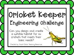 a green and white sign that says cricket keeper engineering challenge with an image of a grasshopper