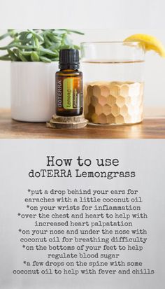 Lemongrass Essential Oil Uses, Doterra Lemongrass, Terra Essential Oils, Essential Oil Roller Bottle Recipes, Doterra Oils Recipes, Doterra Recipes, Essential Oil Diffuser Blends Recipes