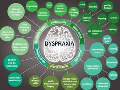 What is dyspraxia? Infograph Motor Planning, Dysgraphia, Learning Differences, Special Educational Needs, Learning Support, Learning Difficulties, School Psychology