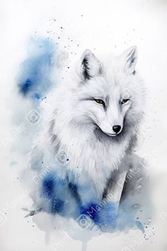 a watercolor painting of a white fox