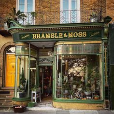 a store front with plants in the window