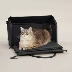 a cat laying inside of a black bag on top of a white floor next to a gray wall