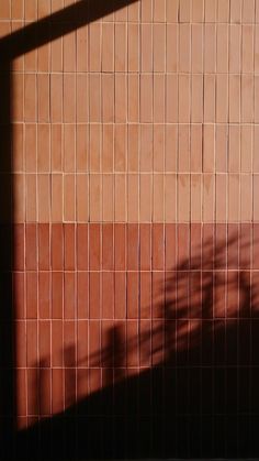 the shadow of a person on a tiled wall