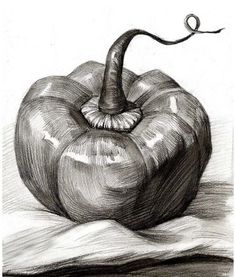 a pencil drawing of an apple sitting on top of a table