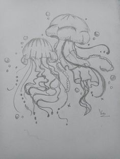 a drawing of two jellyfishs in the water