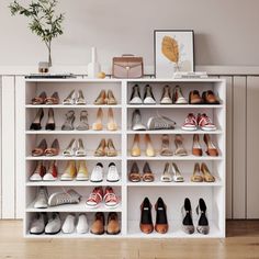 a white shelf filled with lots of shoes