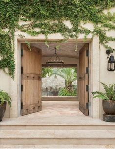 an open door leading into a lush green garden with potted plants on either side