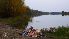 a campfire on the shore of a lake surrounded by grass and trees with water in the background