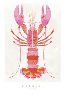 a drawing of a lobster with different colors and patterns on it's back side