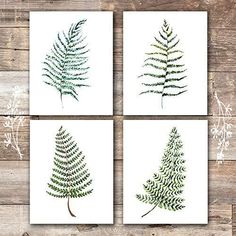 four green leaf prints on white paper with wood planks in the background and text overlay