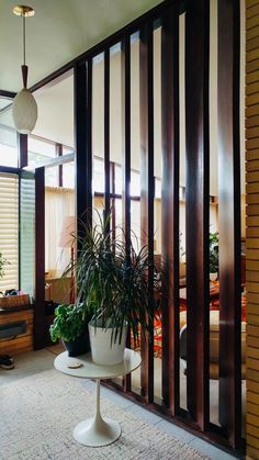 a potted plant sitting on top of a white table in front of a sliding glass door