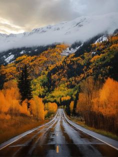 an empty road in the mountains with trees and snow on it's mountain tops